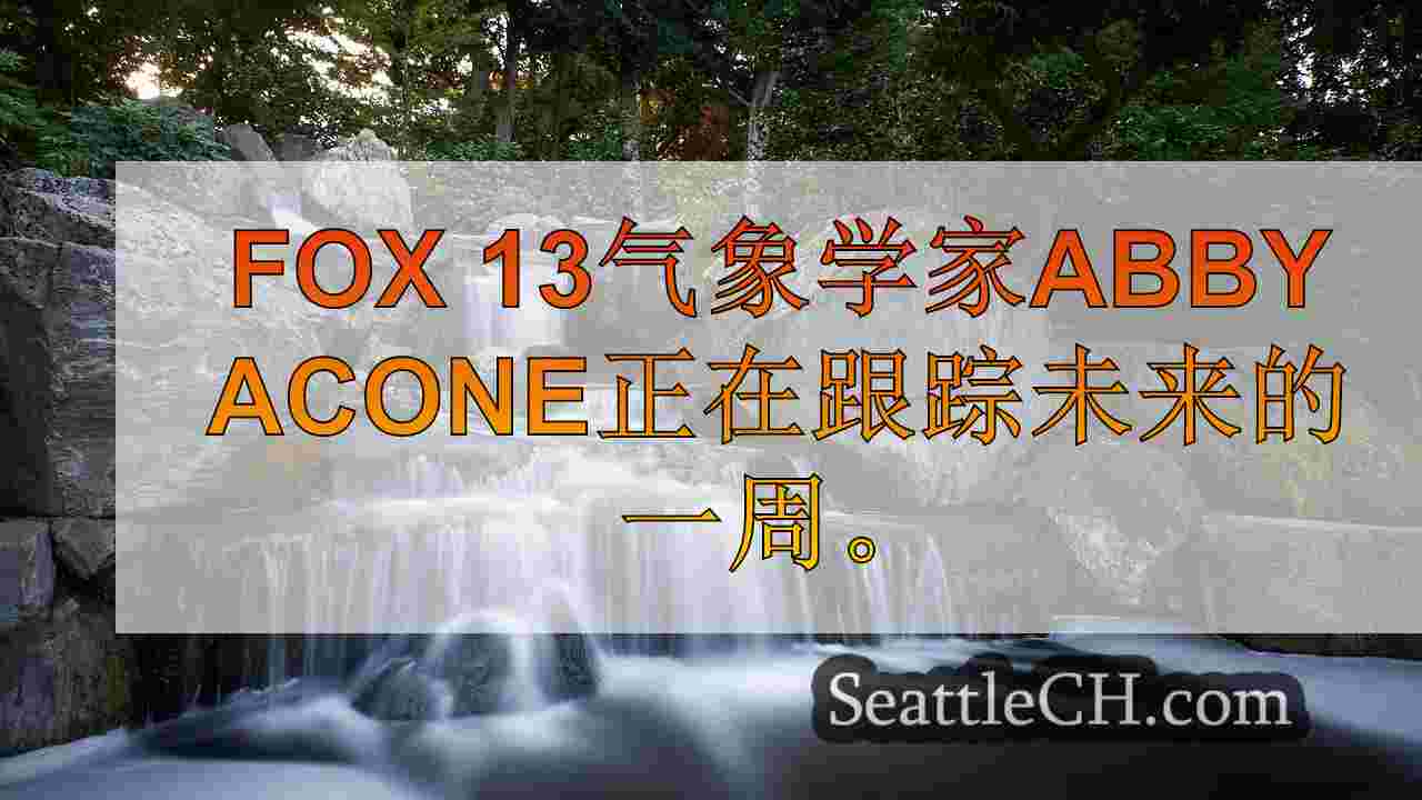 西雅图新闻 SeattleCH