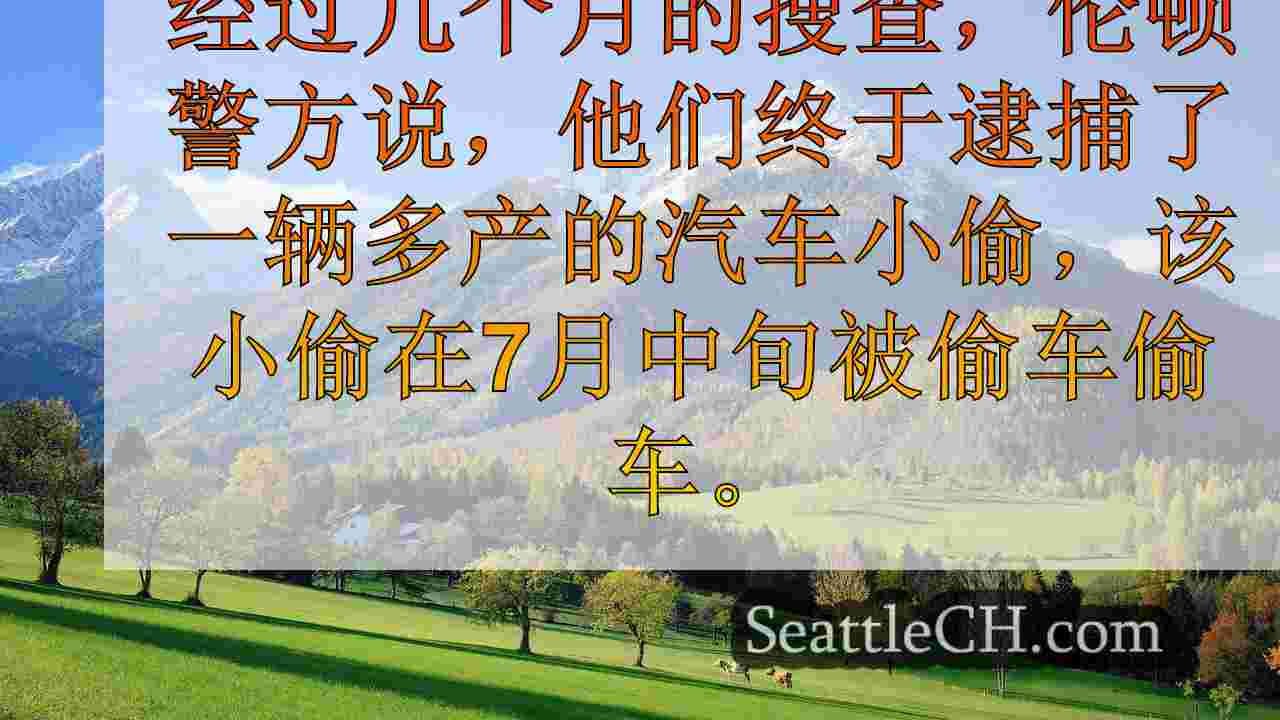 西雅图新闻 SeattleCH