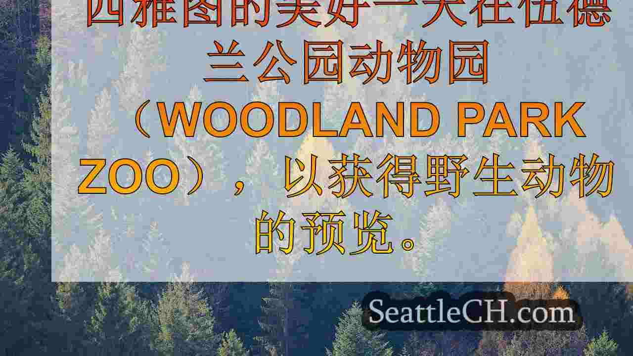 西雅图新闻 SeattleCH