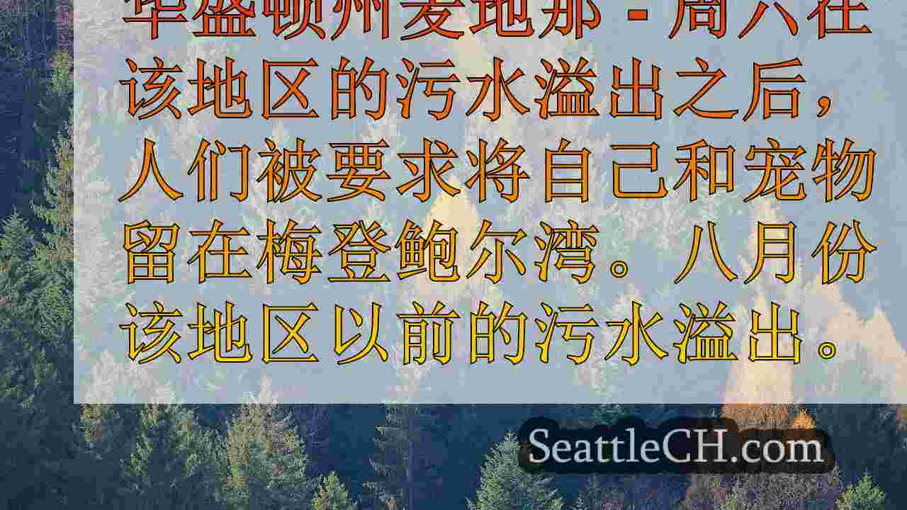 Meydebauer湾下水道泄漏：人们，宠物在华盛顿州麦地那附近的水中呆在水中