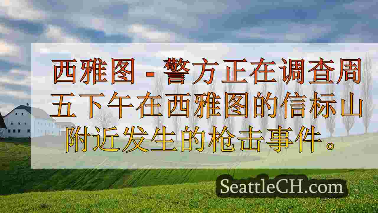 西雅图新闻 SeattleCH