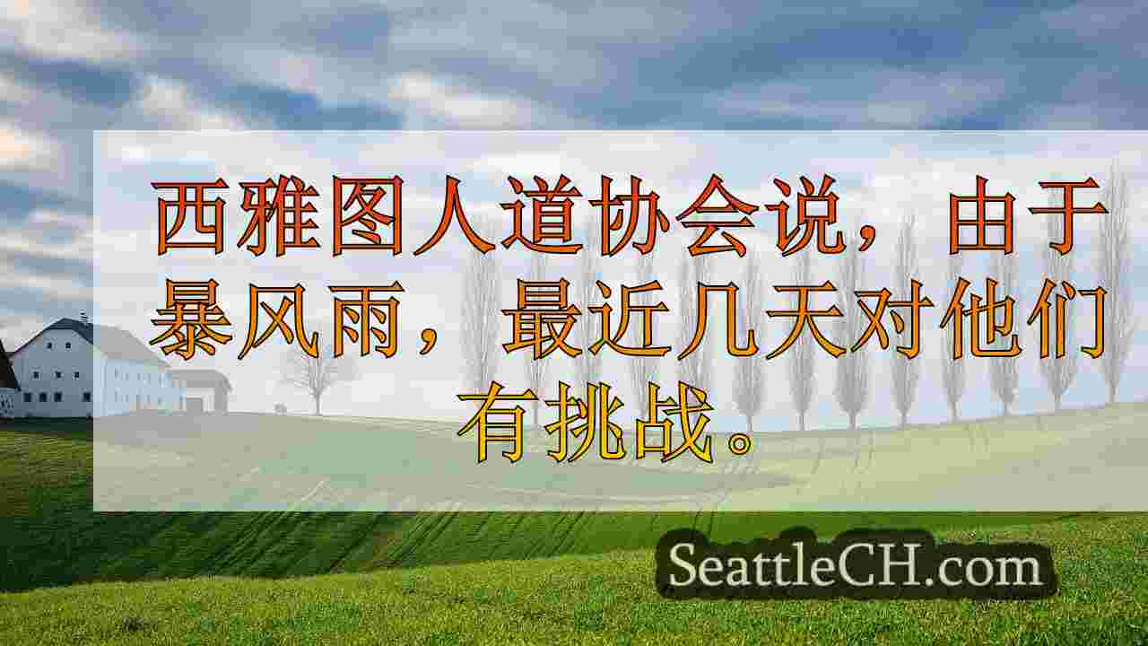 西雅图人道社会因暴风雨而面临挑战