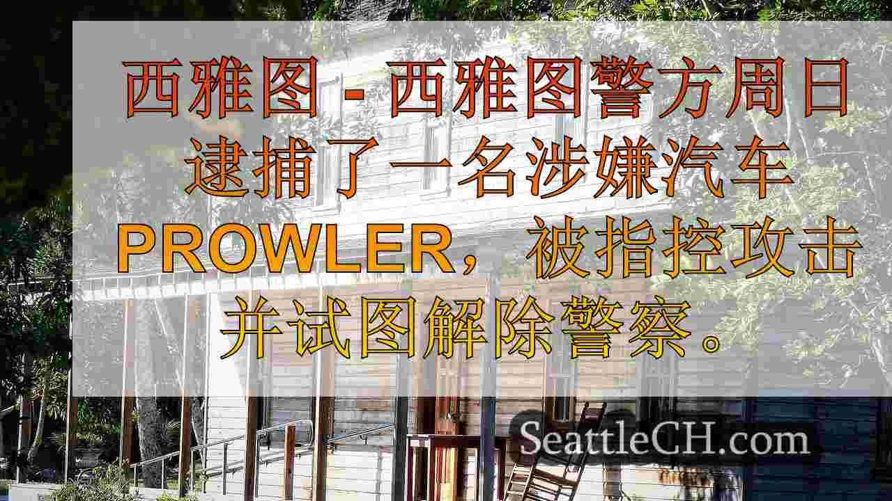 西雅图新闻 SeattleCH