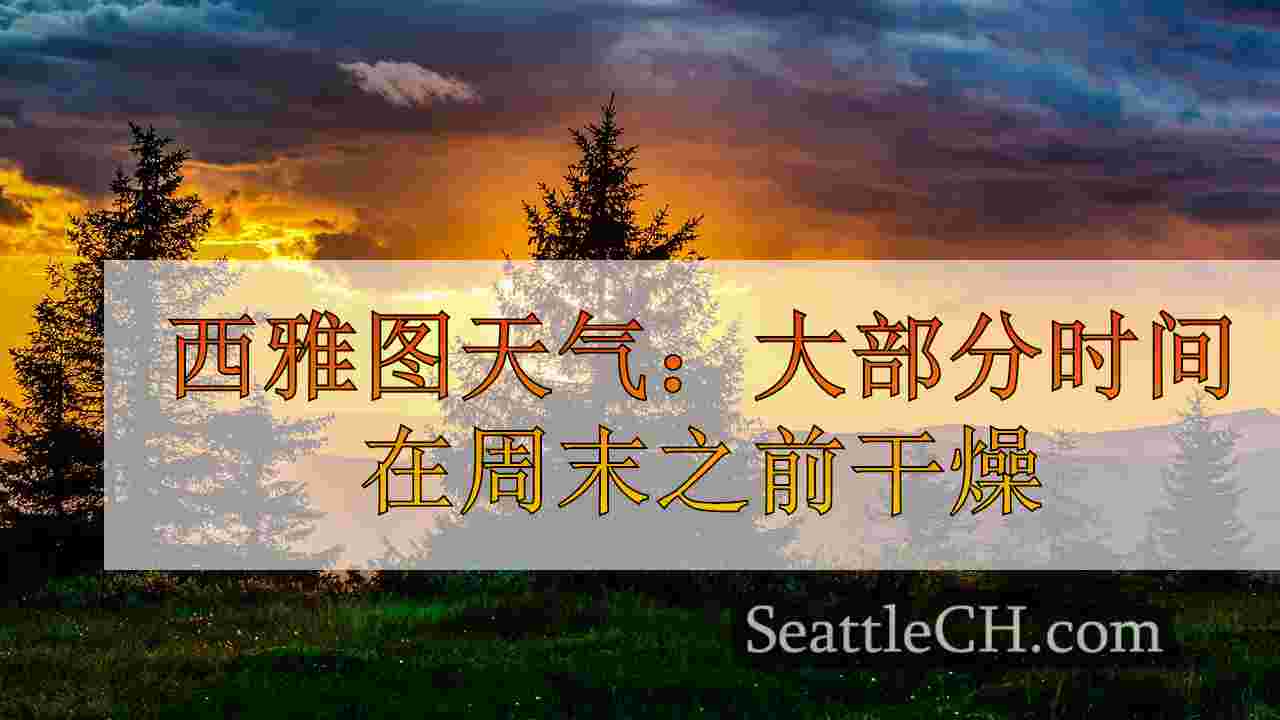 凉爽的11月阳光，西雅图预计的干燥天气
