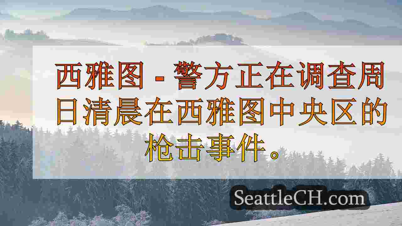 西雅图新闻 SeattleCH