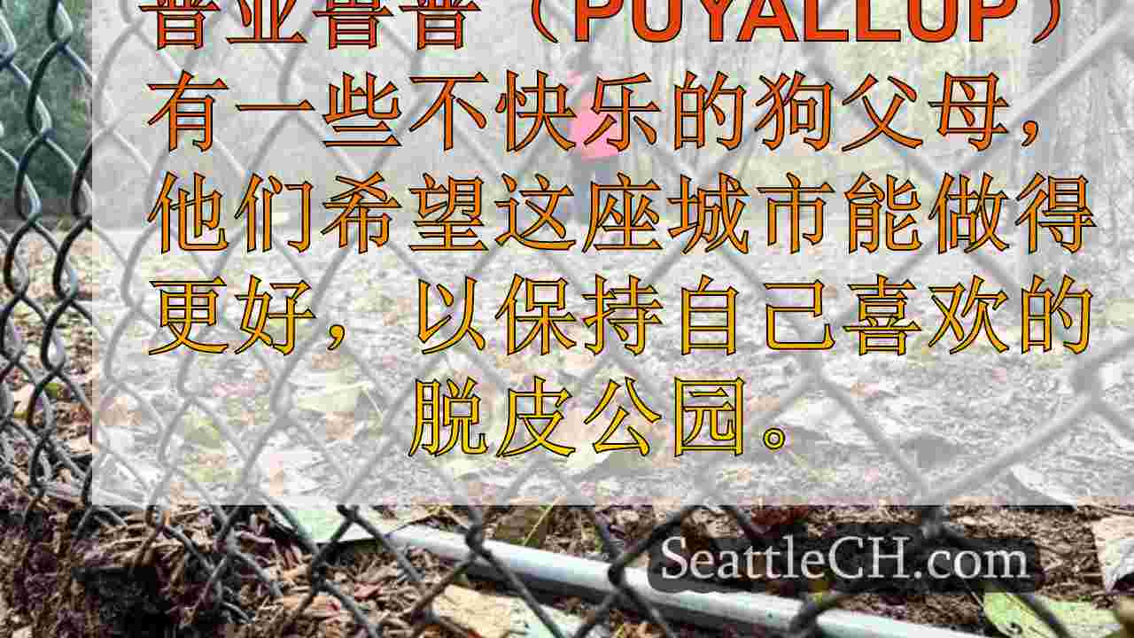 西雅图新闻 SeattleCH