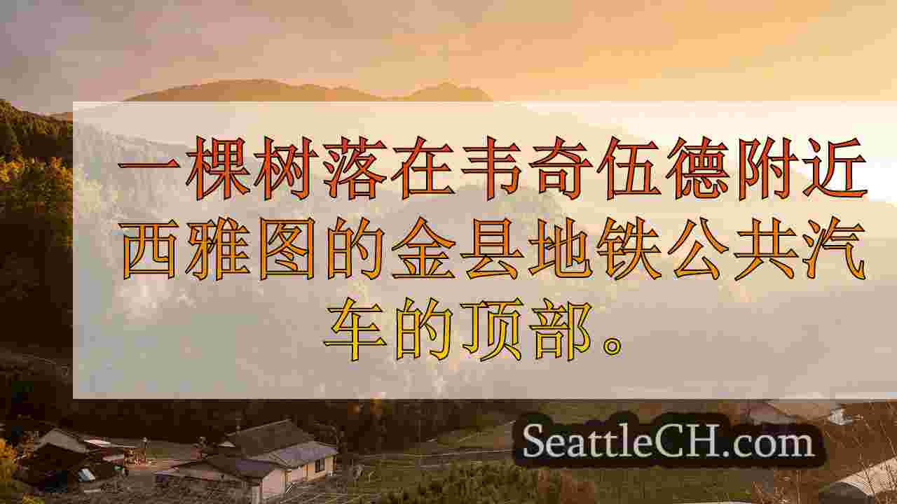 西雅图新闻 SeattleCH
