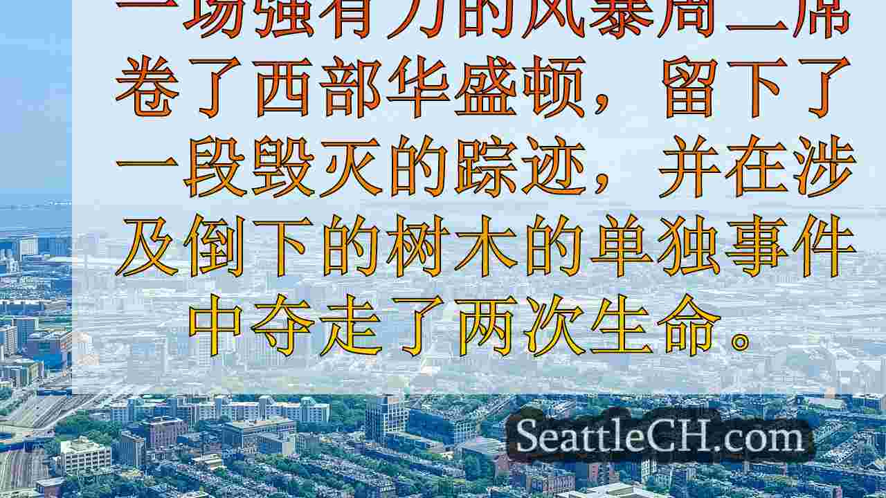 西雅图新闻 SeattleCH