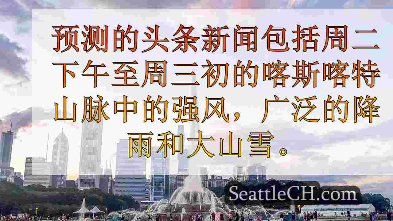 西雅图新闻 SeattleCH