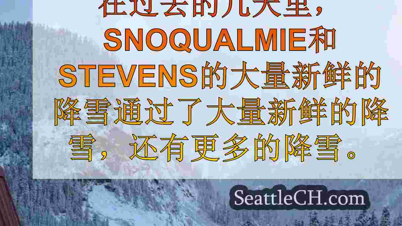 西雅图新闻 SeattleCH