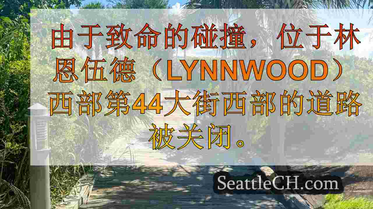 西雅图新闻 SeattleCH