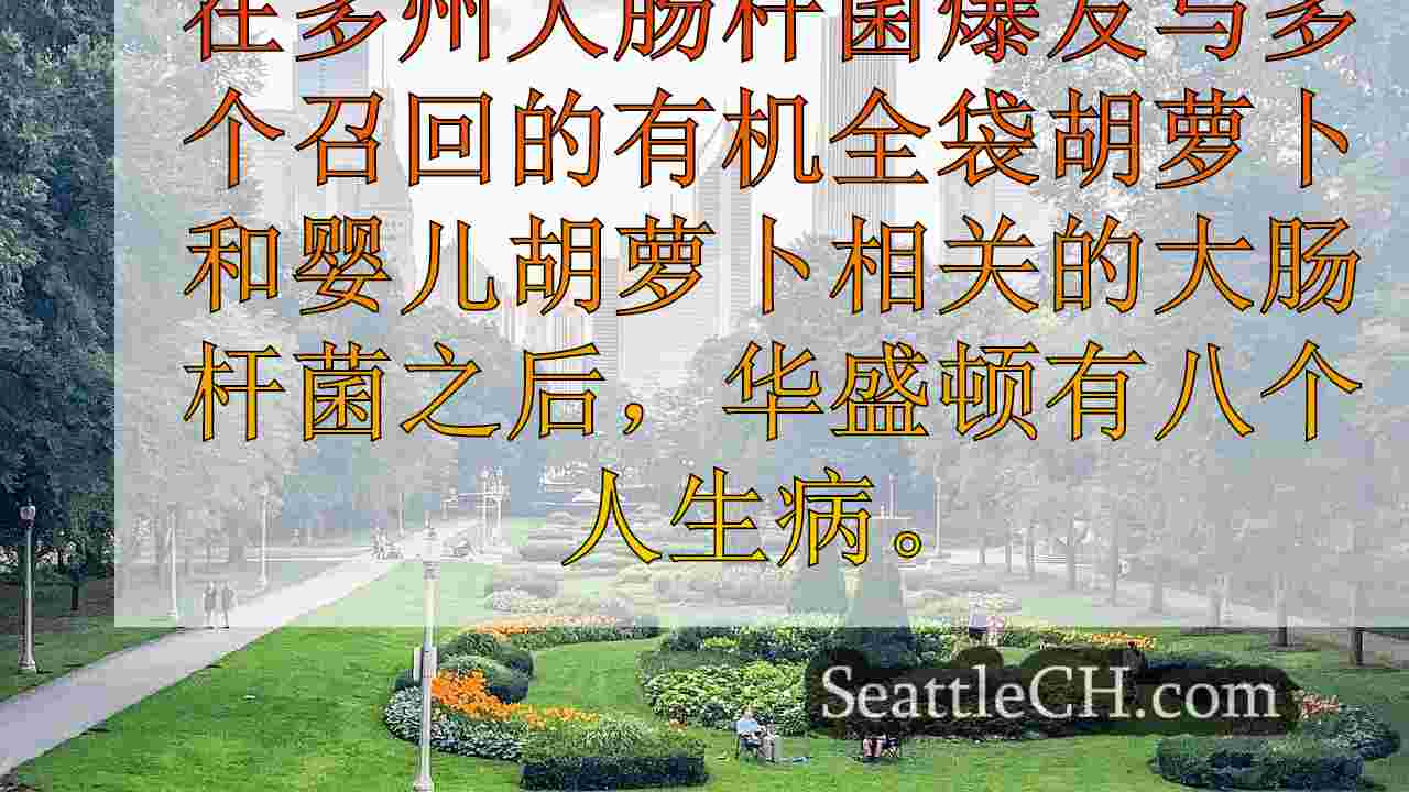 西雅图新闻 SeattleCH