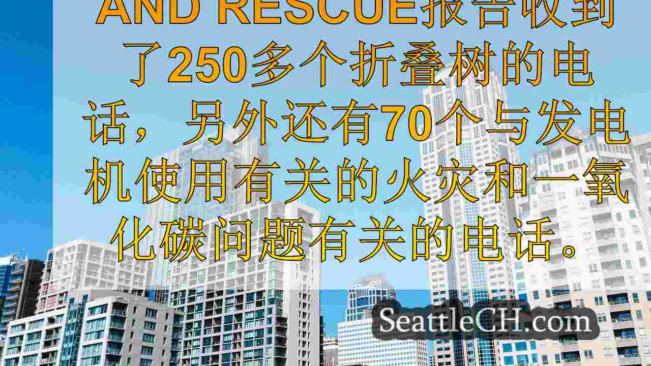 炸弹旋风后果：维修被发电机大火，倒下的树木倒塌