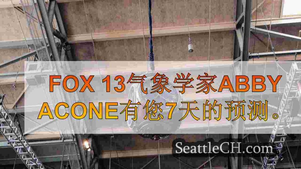 天气系统的游行将潮湿，阵阵天气带到西雅图地区