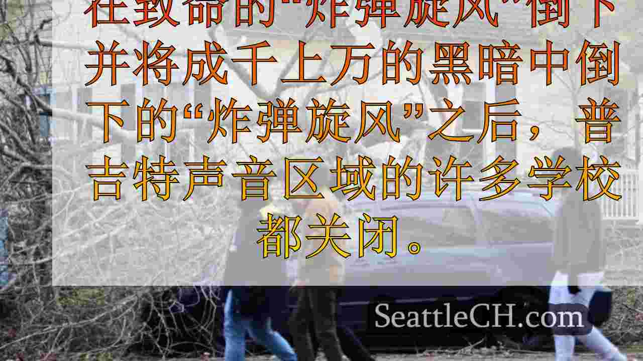 西雅图新闻 SeattleCH