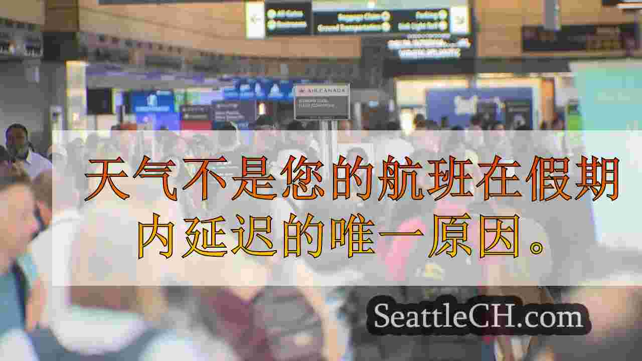 FAA人员配备短缺可能导致假日航班延迟