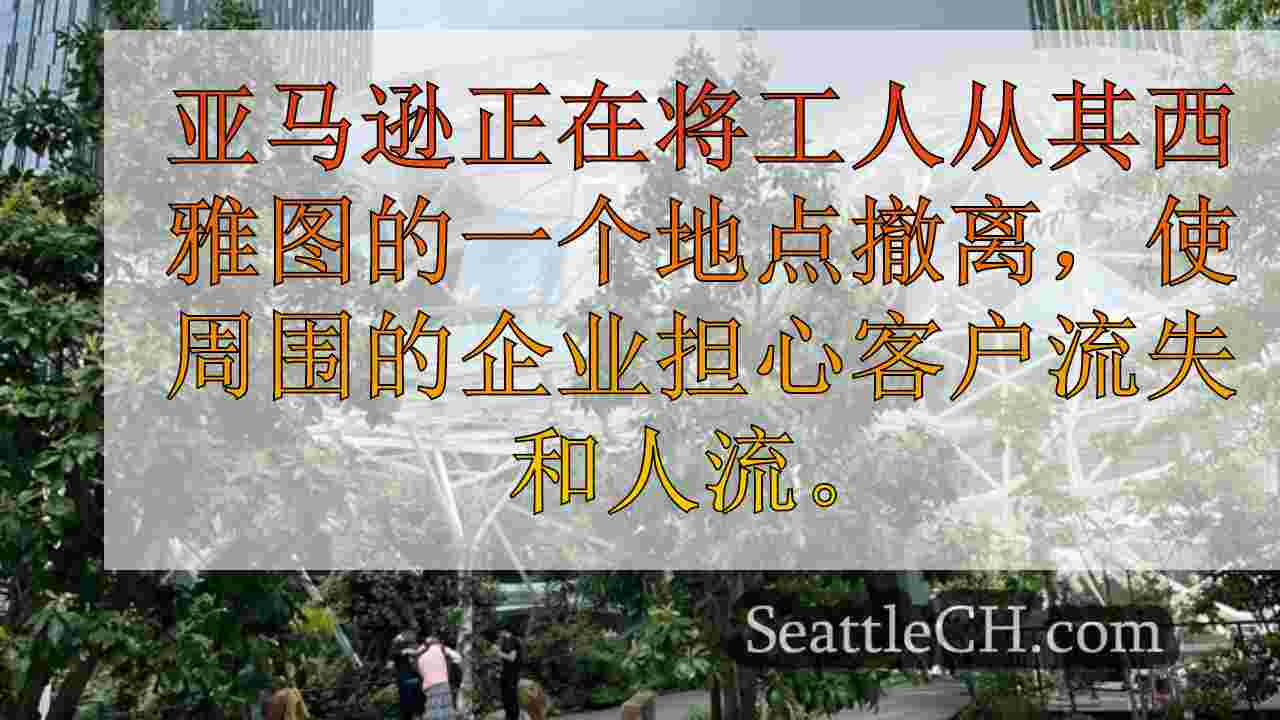 西雅图新闻 SeattleCH