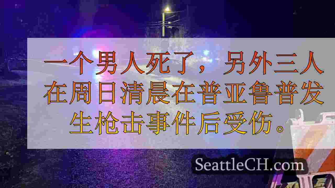 1人死亡，在清晨puyallup射击中受伤3受伤