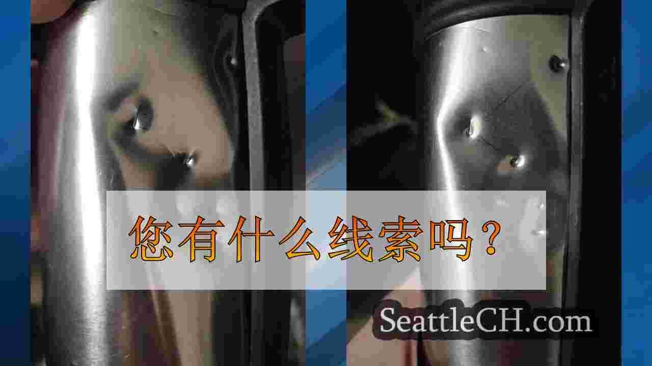 看我发现的东西：这个有趣的对象是什么？