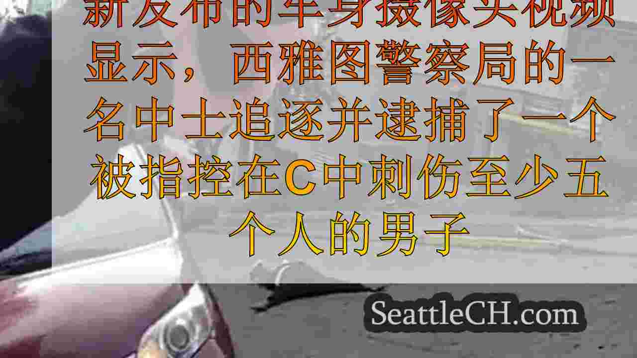 BodyCam视频显示了对西雅图大规模刺伤的大量反应，可疑逮捕