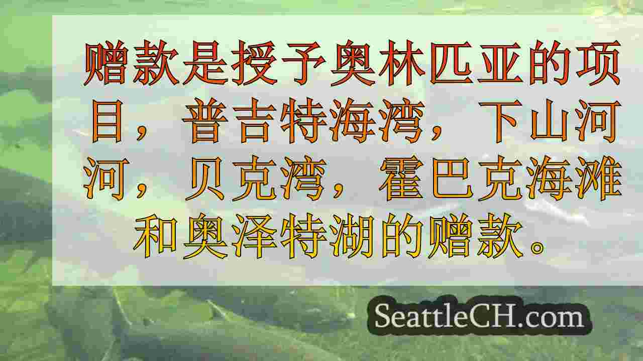 338万美元的赠款授予州海岸线保护，鲑鱼栖息地