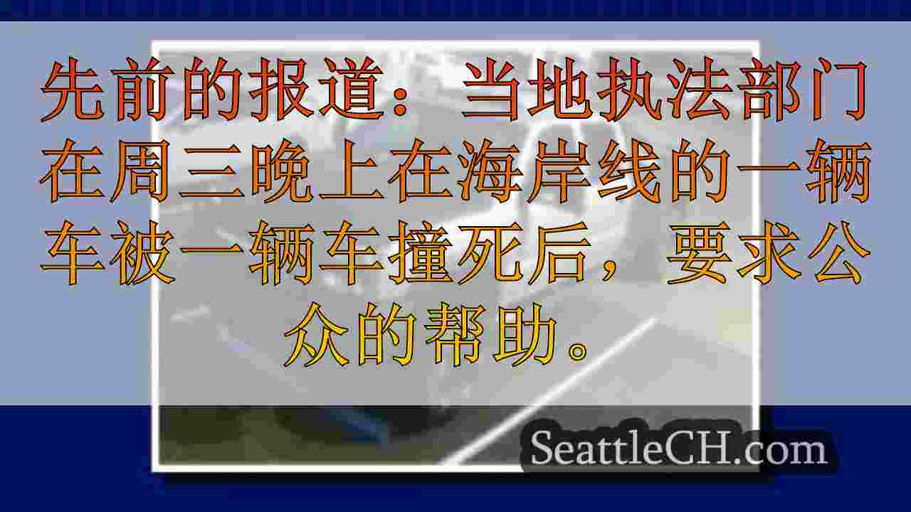 WSP在海岸线撞车中被杀死的妇女寻求公众帮助