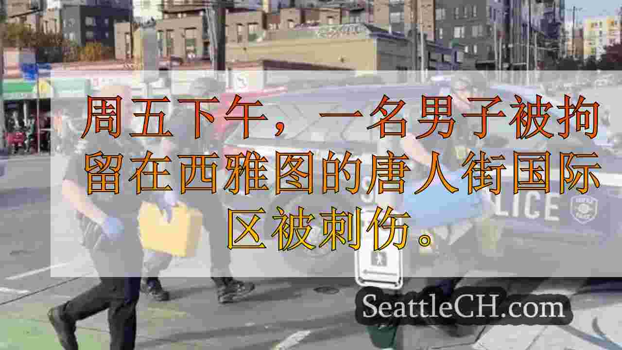 西雅图新闻 SeattleCH