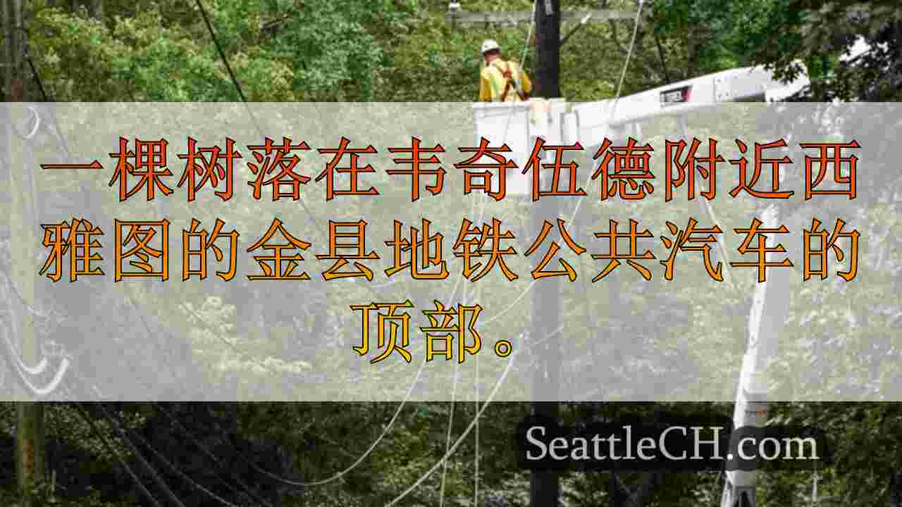 西雅图城市的灯光停电持续存在，第二次暴风雨迫在眉睫