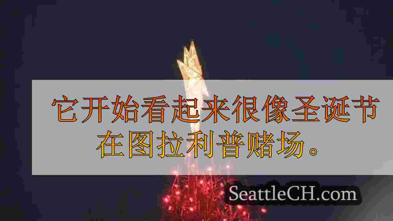 “灯光和冰”将图拉利普圆形剧场变成冬季仙境