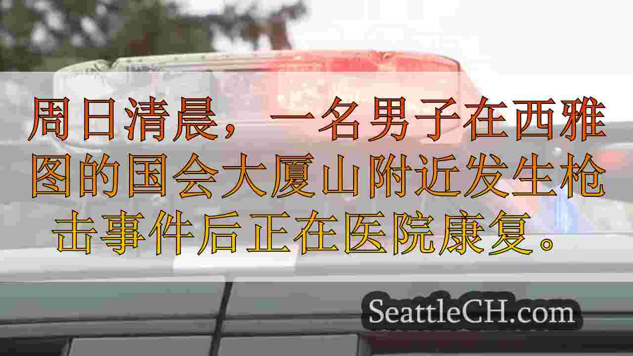 警方说，青少年被西西雅图公园附近的家人刺伤