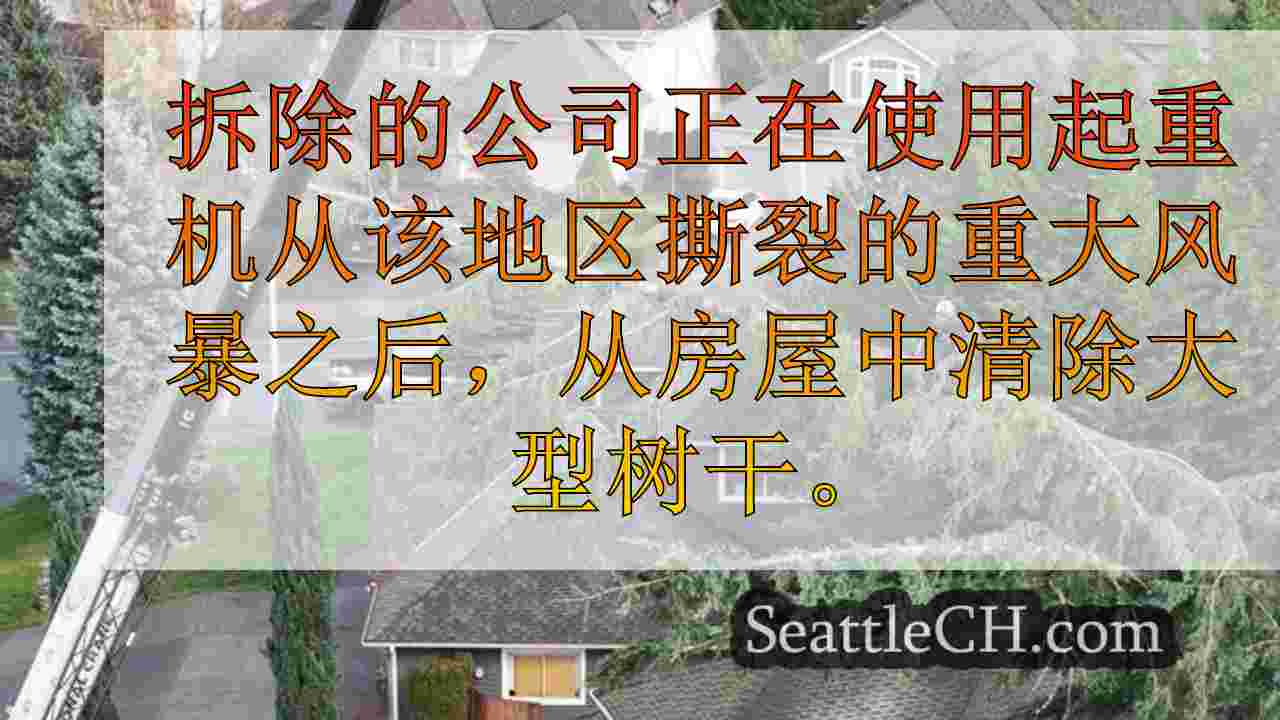 西雅图新闻 SeattleCH