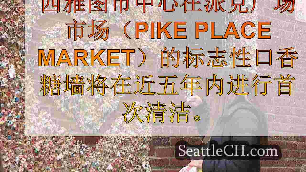 自2019年以来