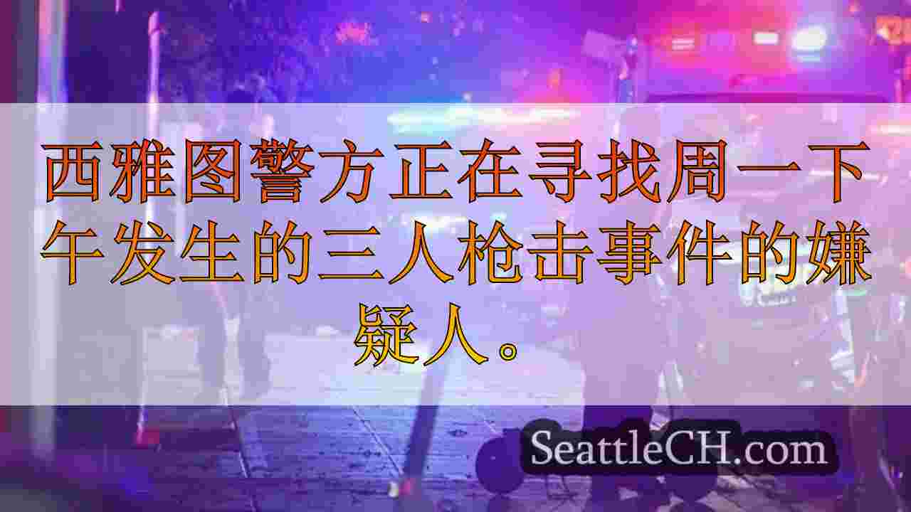 西雅图新闻 SeattleCH