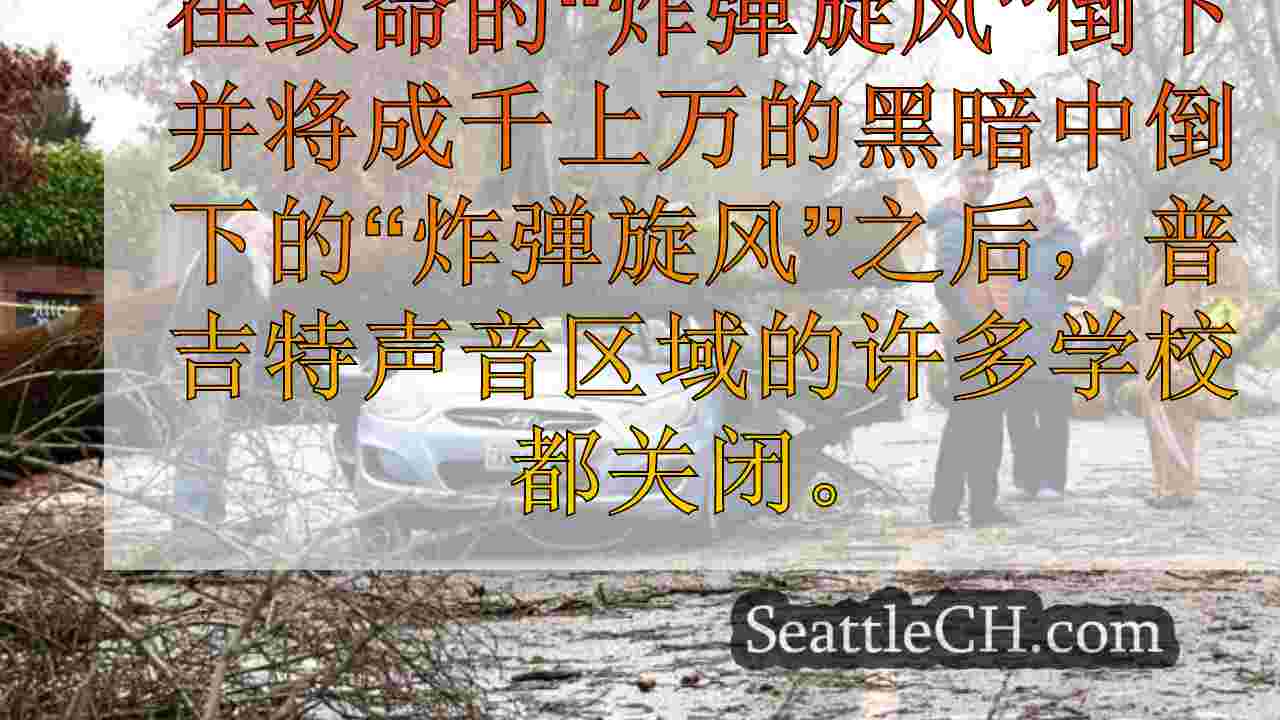 西雅图新闻 SeattleCH