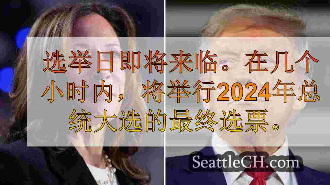 当选举日接近美国，这是值得关注的地方