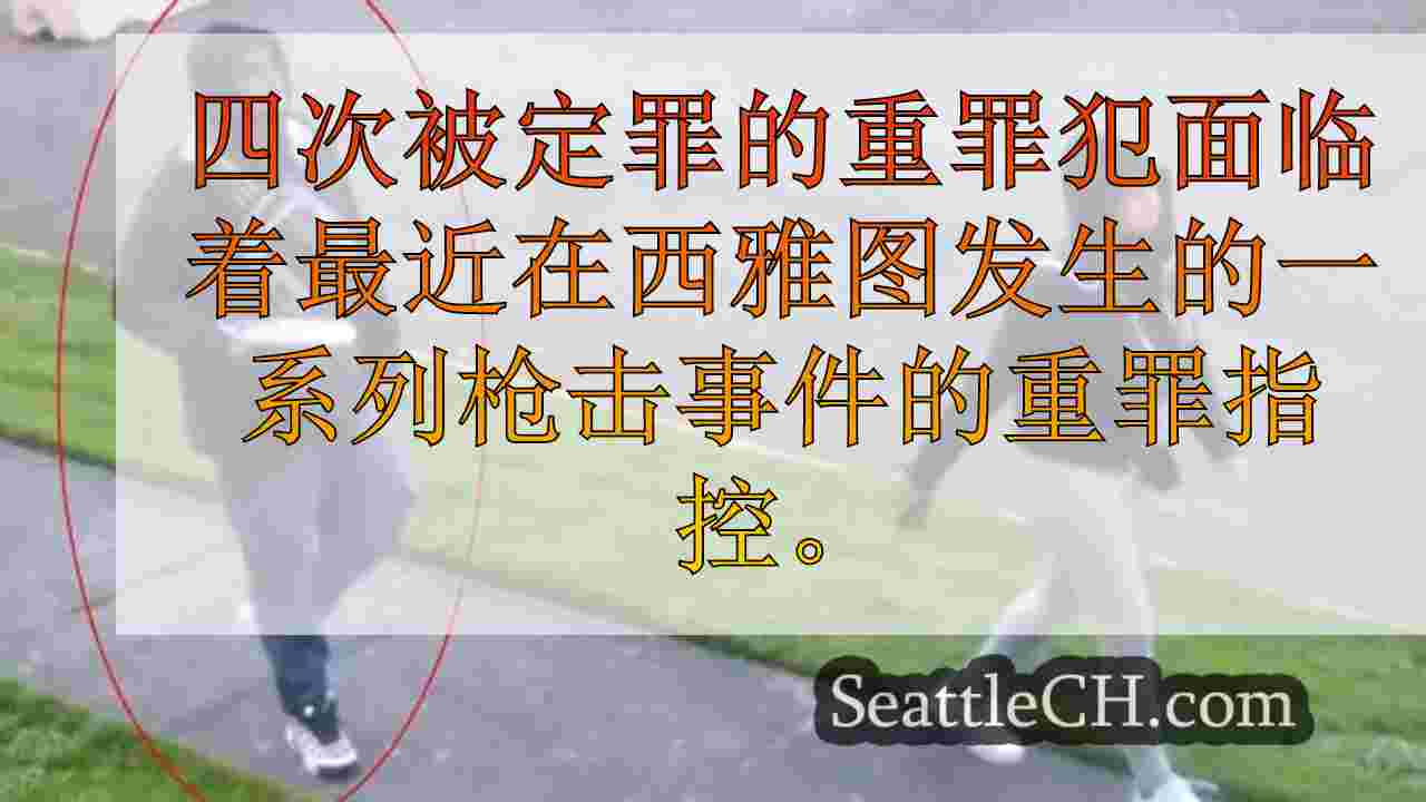 有4个重罪的男人面临新的指控，其中包括一个3岁的孩子几乎被枪杀