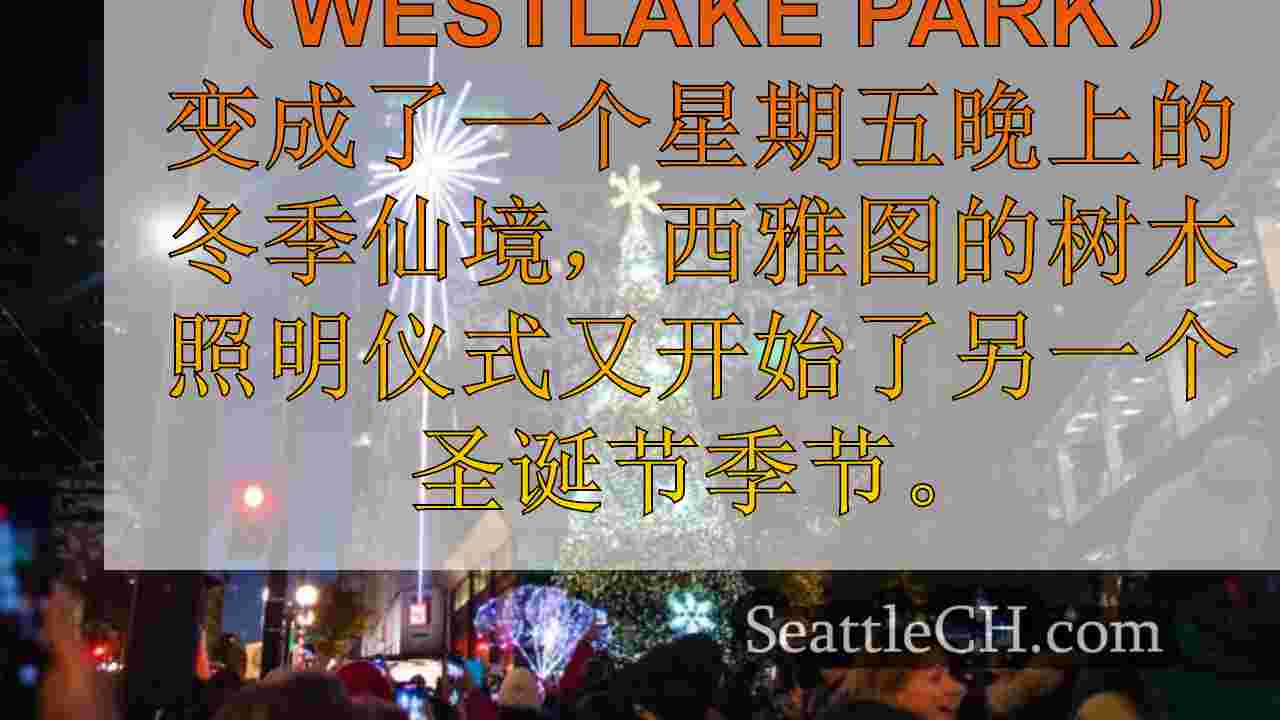 西雅图在西湖公园（Westlake Park