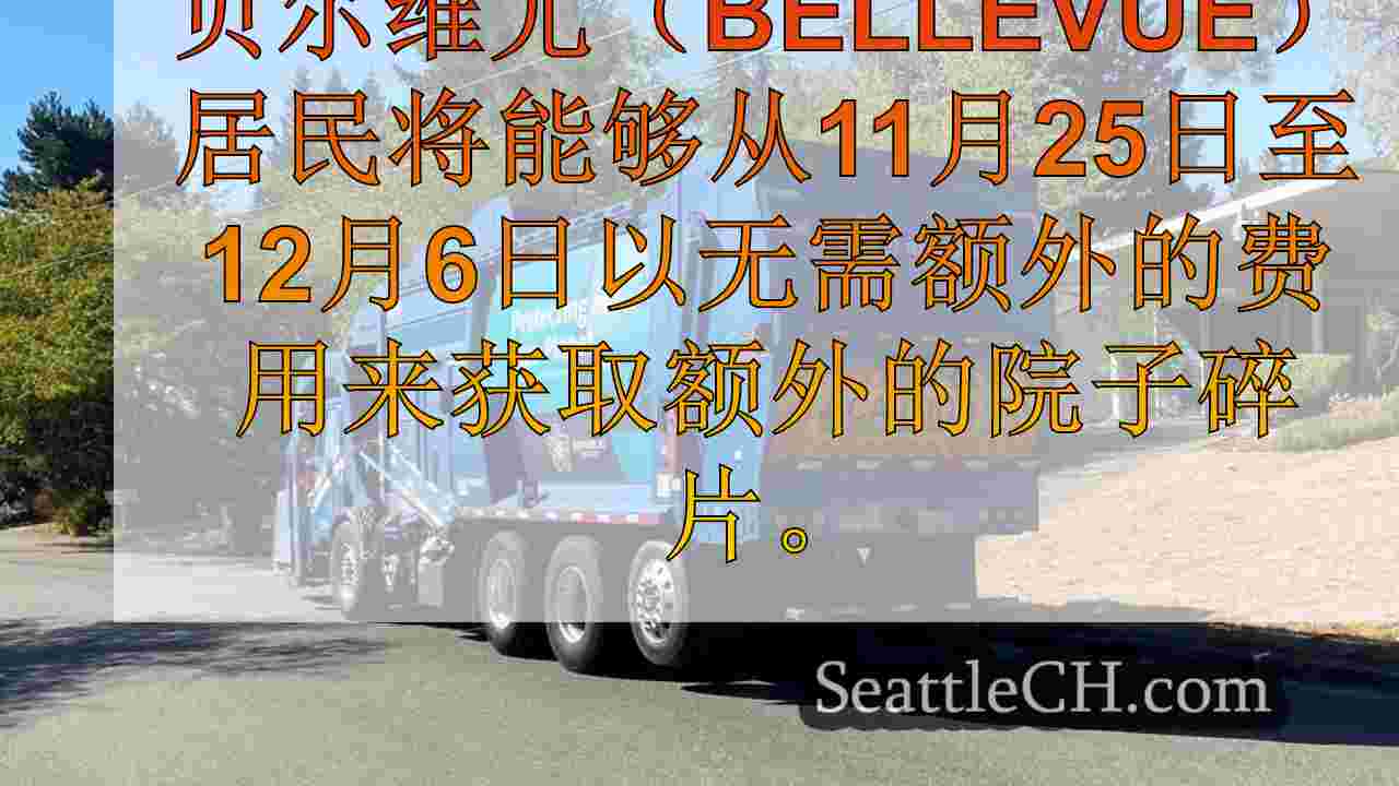 11月25日至12月，贝尔维尤居民的免费院子碎片拾音器。6在常规收集日