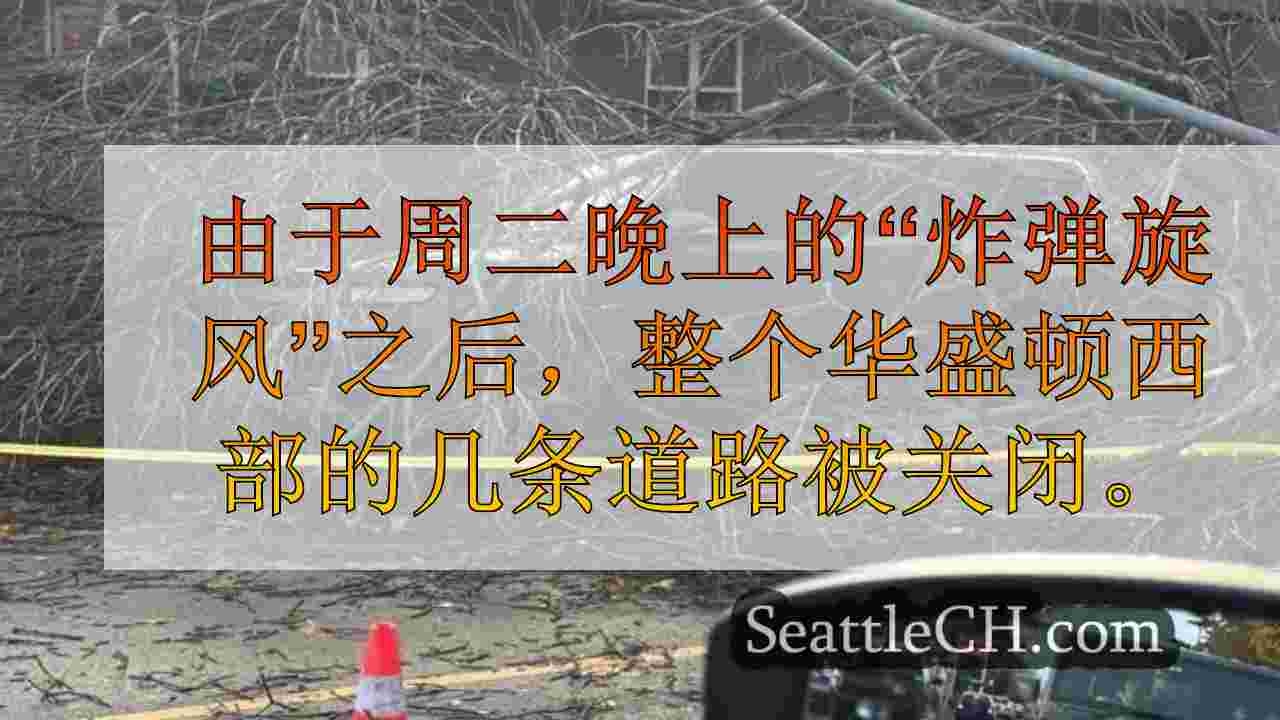 西雅图新闻 SeattleCH