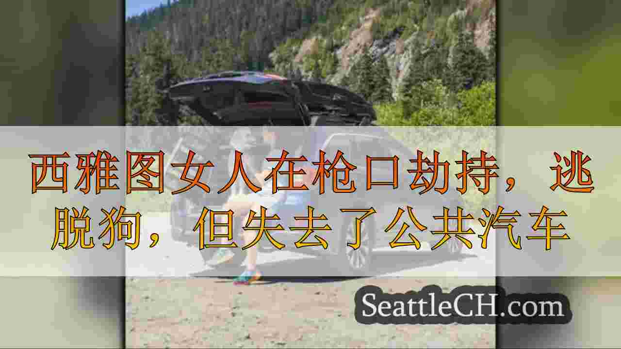 西雅图妇女在枪口劫持，逃脱狗，但失去了商业设备