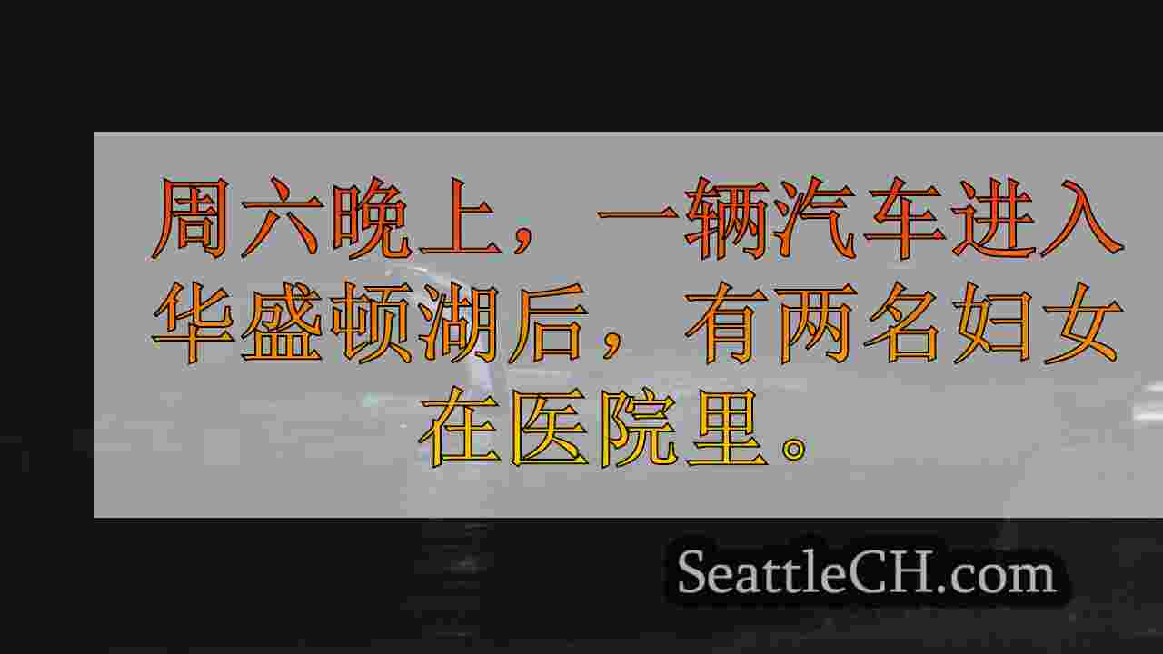 少年从华盛顿湖淹没的汽车救出，妇女因疏忽而被拘留
