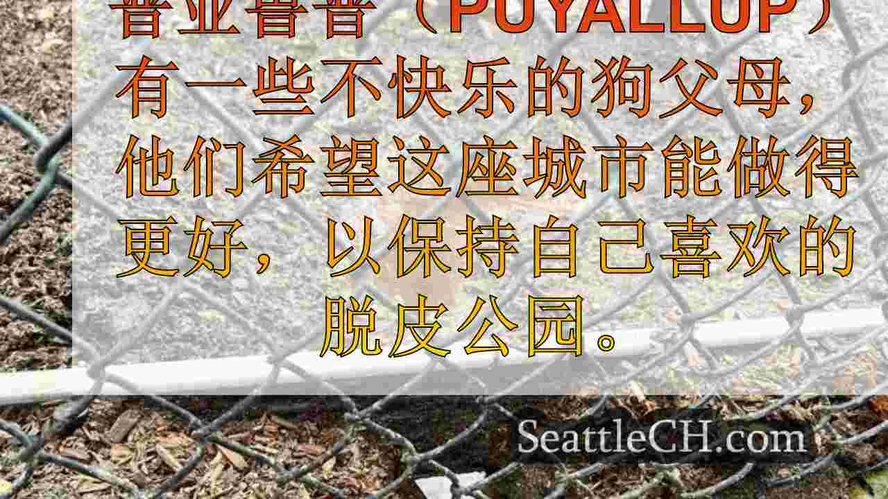 西雅图新闻 SeattleCH