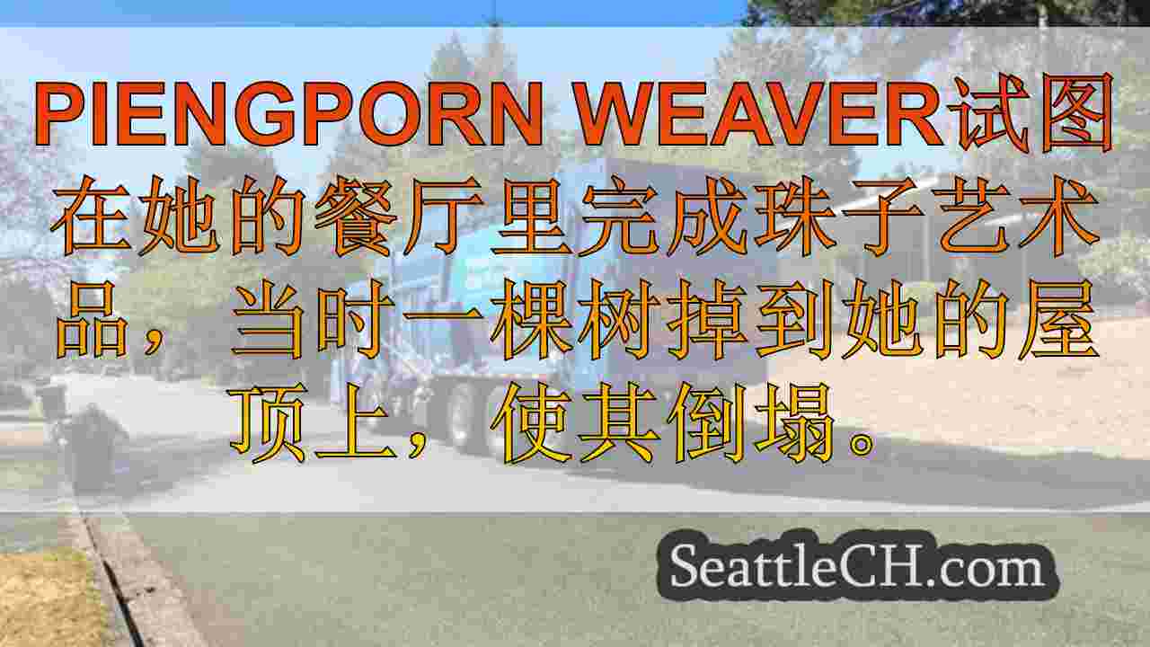 贝尔维尤（Bellevue