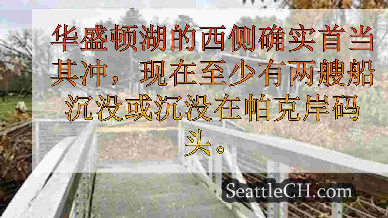 西雅图新闻 SeattleCH