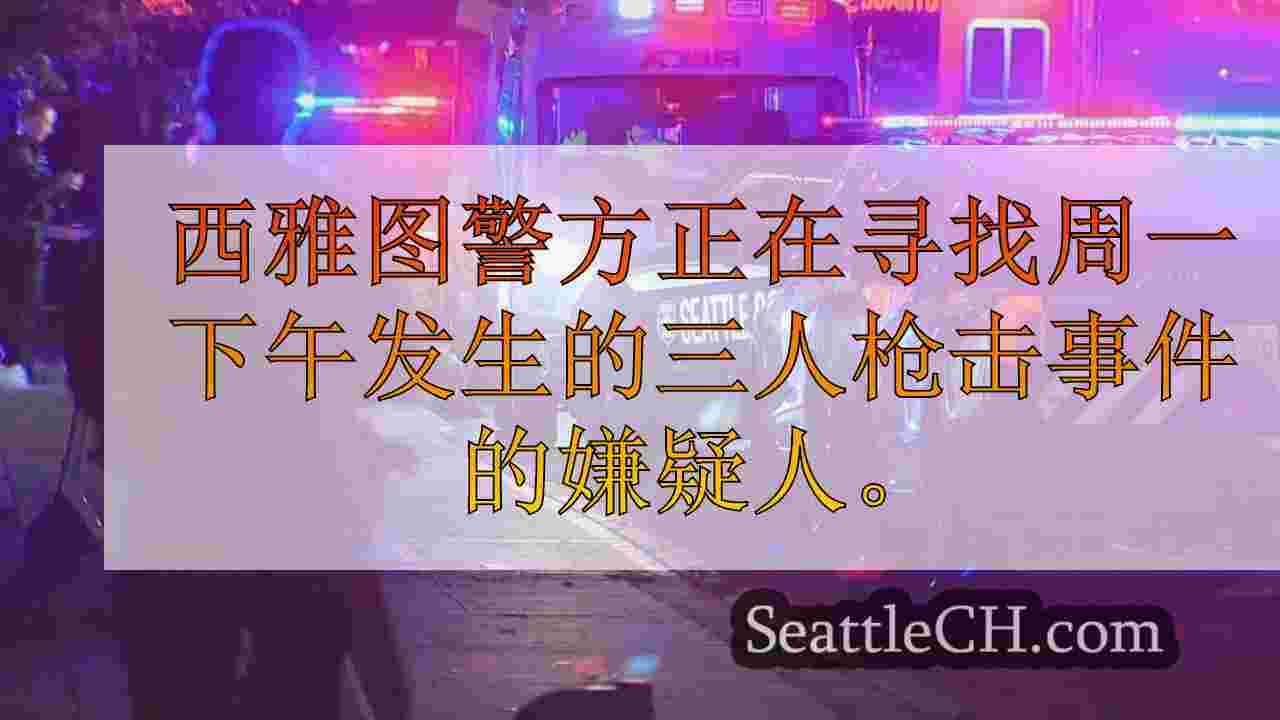 3在贝尔敦枪击事件中受伤，嫌疑人可能是受害者之一