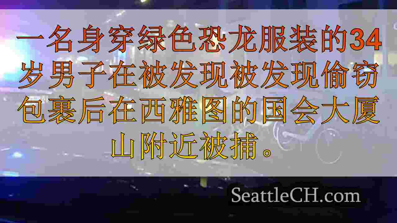 恐龙服装的男子因在国会山偷套品而被捕