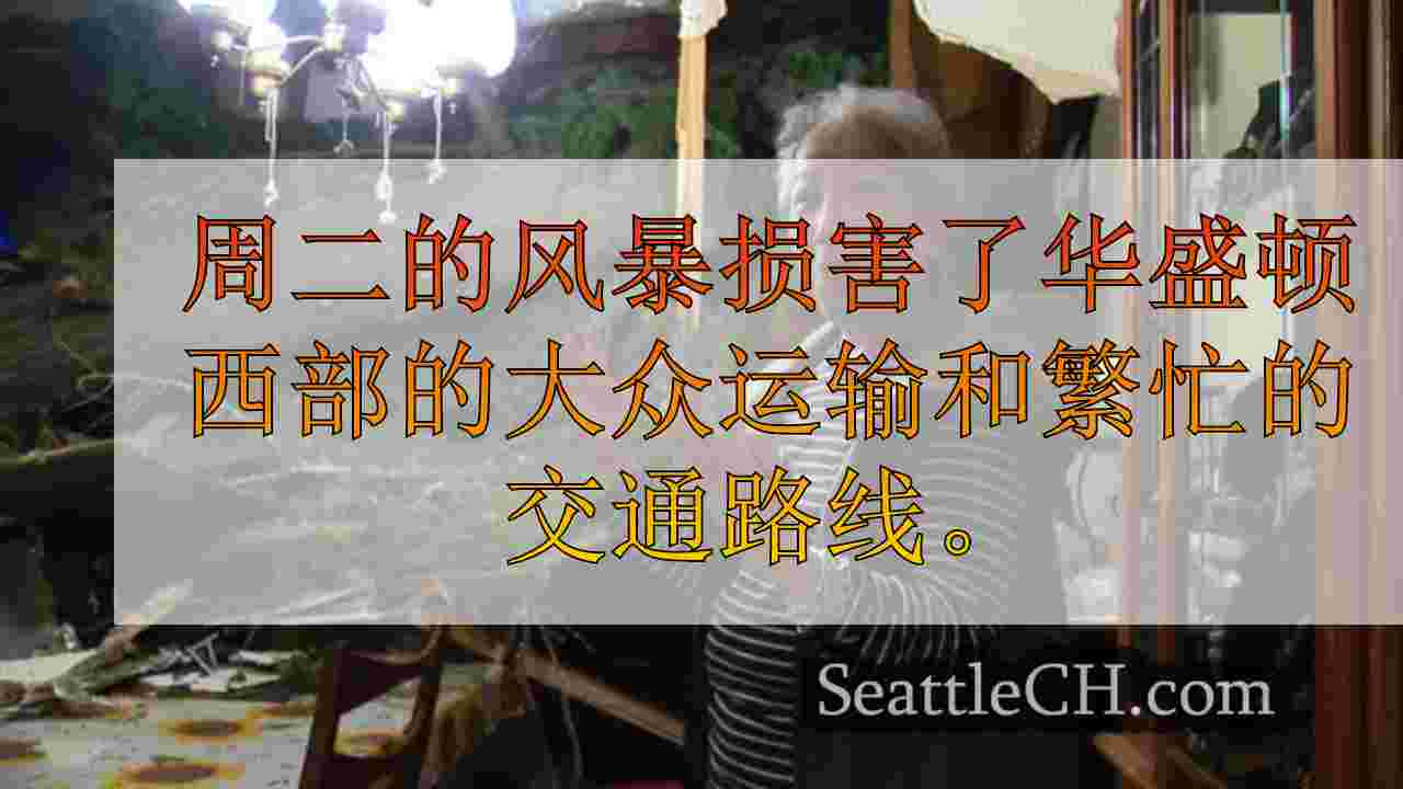 Bellevue妇女因倒下的树伤受伤，屋顶倒塌在近距离通话时说话