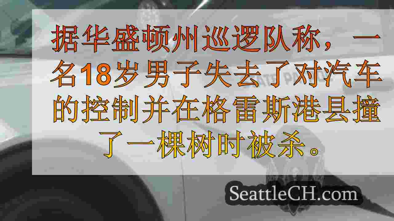 男子在阿伯丁附近离开公路和罢工树后死亡