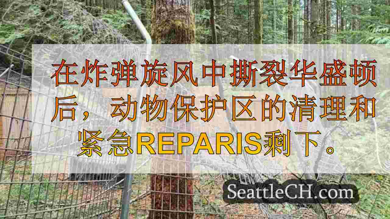 西雅图新闻 SeattleCH