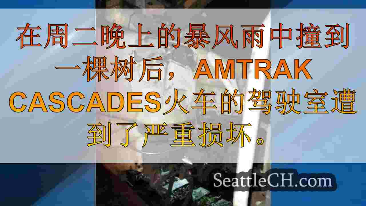 西雅图新闻 SeattleCH